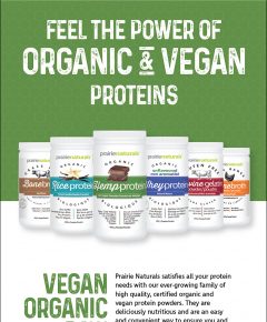 Organic & Vegan Protein