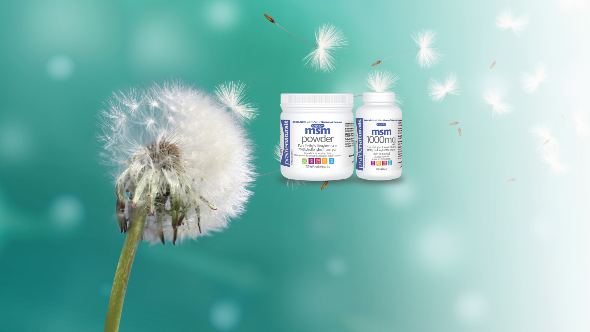 Featured image for “OptiMSM Combats Seasonal Allergies”