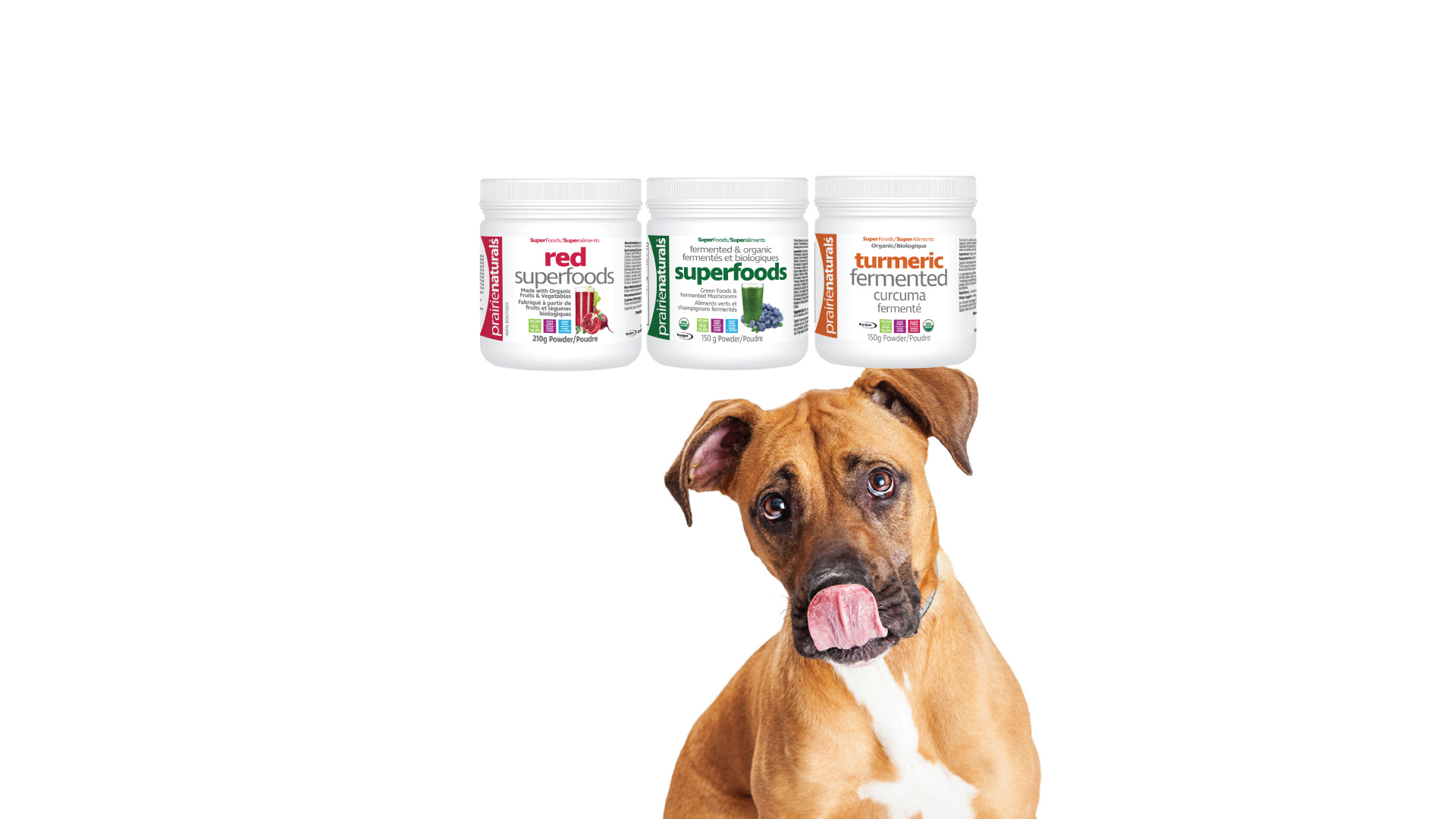 Featured image for “SuperFoods for SuperDogs”