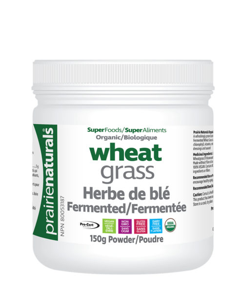 Wheat Grass