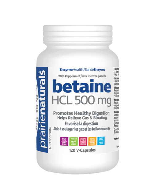 Bétaïne HCL