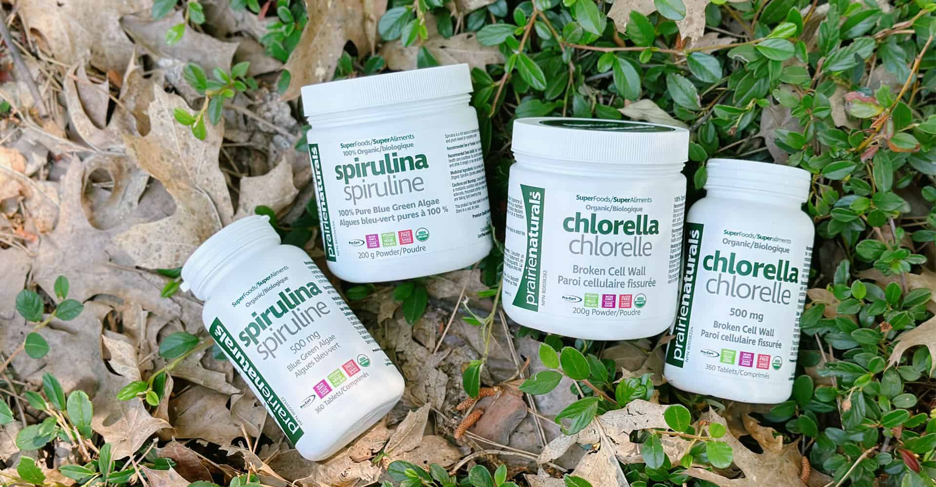 Featured image for “Organic Spirulina vs Organic Chlorella”
