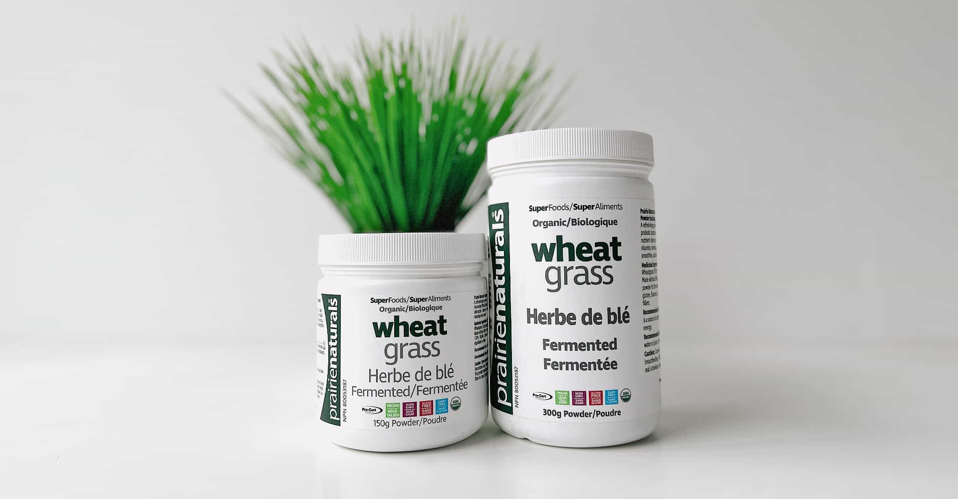 Featured image for “5 science-backed benefits of Organic & Fermented Wheatgrass”